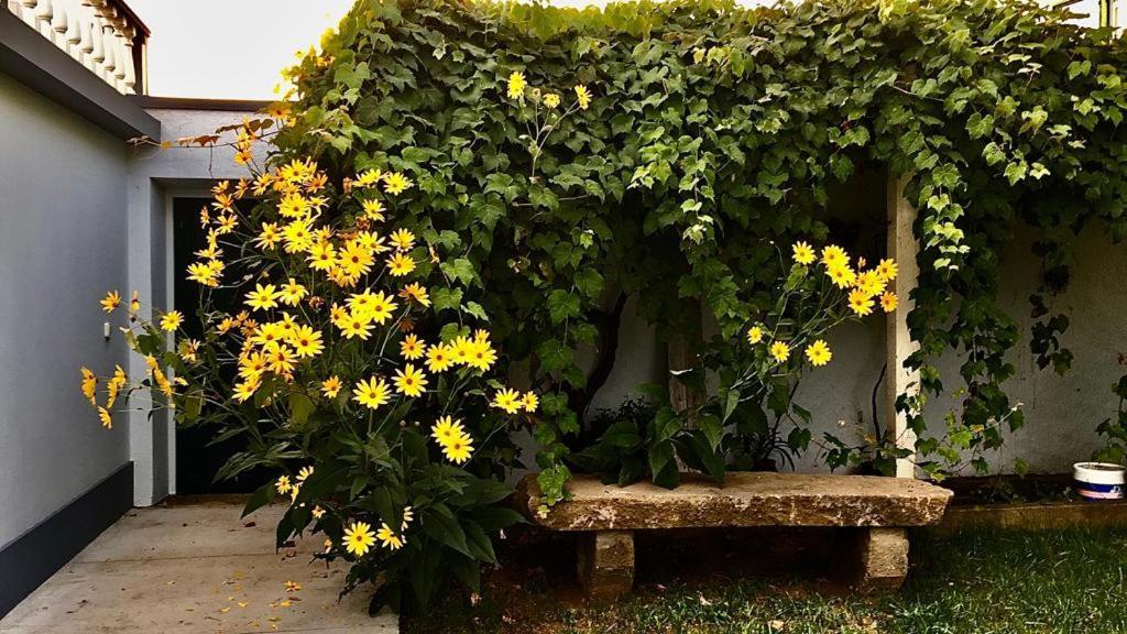 Вілла Casa As Sete Ангра-ду-Ероїшму Екстер'єр фото